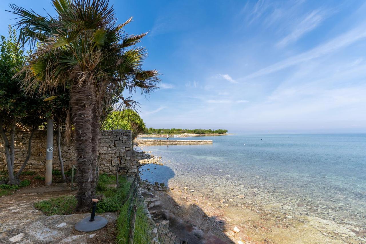 Villa Daulos Novigrad Istria Extérieur photo