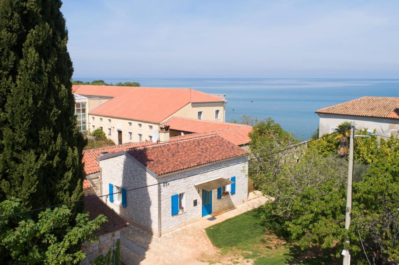 Villa Daulos Novigrad Istria Extérieur photo