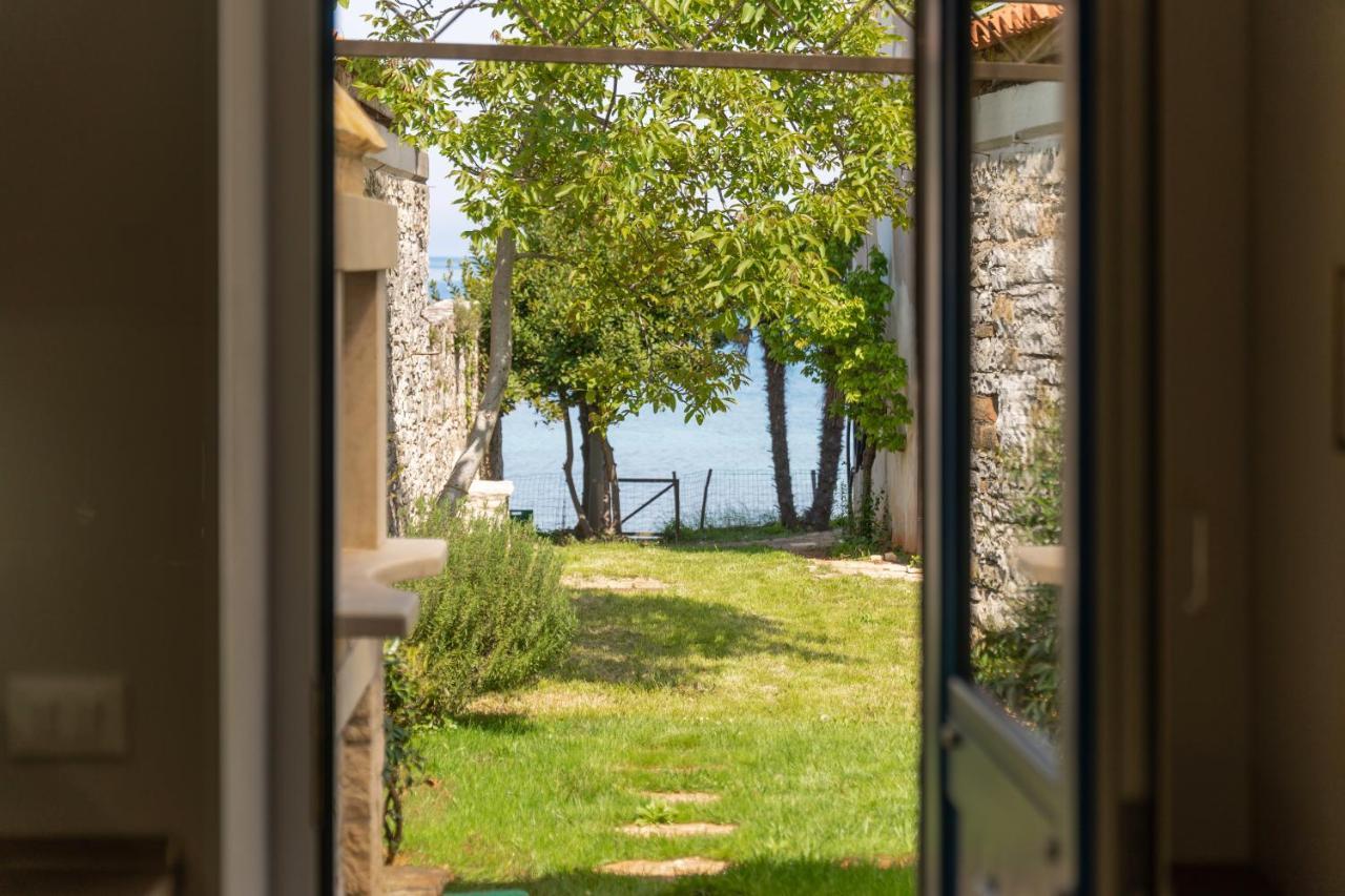 Villa Daulos Novigrad Istria Extérieur photo